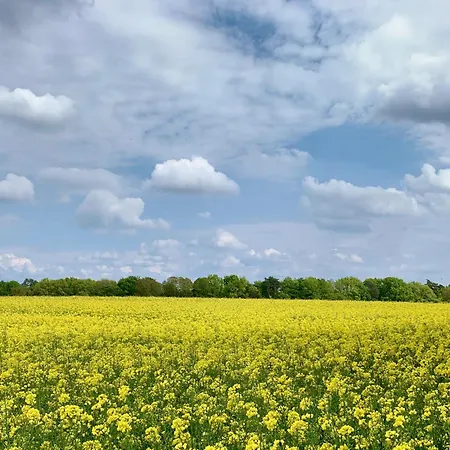 Gut Paelitzhof Prázdninový dům Wustrow (Mecklenburg-Strelitz)