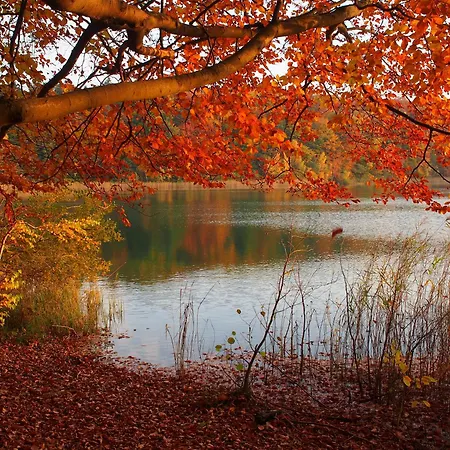 Gut Paelitzhof Дом отдыха