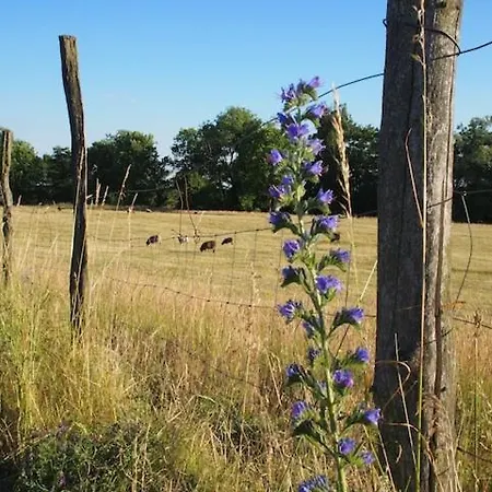 Дом отдыха Gut Paelitzhof Wustrow (Mecklenburg-Strelitz)