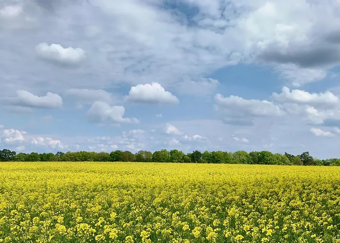 Gut Paelitzhof Prázdninový dům Wustrow (Mecklenburg-Strelitz)