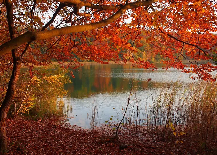 Gut Paelitzhof 別荘