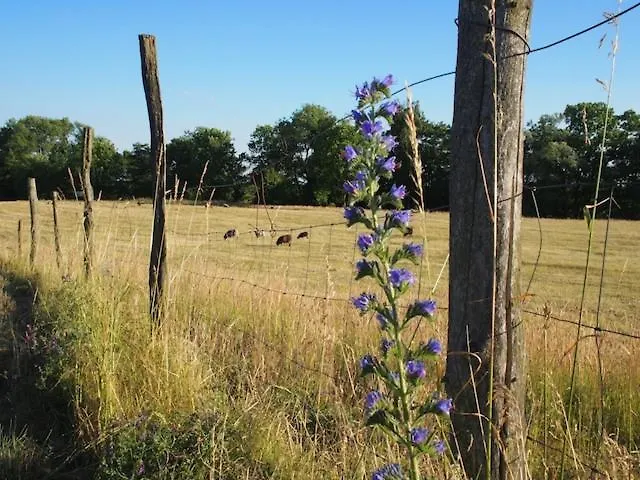 Prázdninový dům Gut Paelitzhof Wustrow (Mecklenburg-Strelitz)